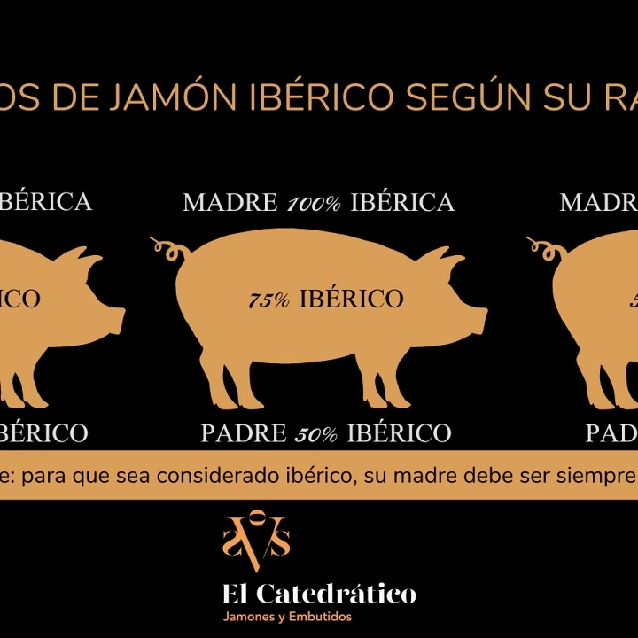 Tipos de jamón según su raza